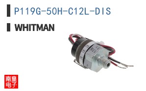 P119G-50H-C12L-DIS ͼƬ